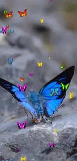 Blue butterfly on rugged rocks with a nature background.