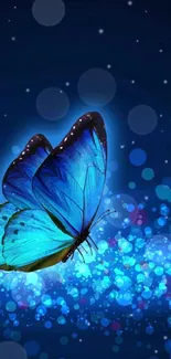 Glowing blue butterfly on dark background wallpaper.