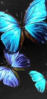 Blue butterflies on a black background, vibrant and elegant design.