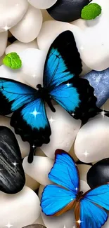 Blue butterflies on smooth stones wallpaper with vibrant colors.