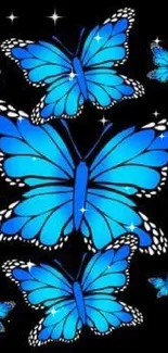 Vibrant blue butterflies on a black background, perfect for mobile wallpaper.