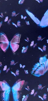 Vibrant blue and pink butterflies on a dark background.