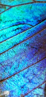 Vibrant close-up of a blue butterfly wing texture.