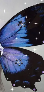 Elegant blue butterfly wings with decorative embellishments.