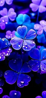 Vivid blue and purple clover leaves with dewdrops, creating a serene nature scene.