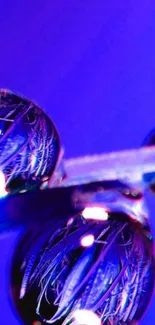 Macro image of blue droplets on a vibrant background.