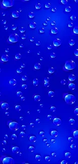 Vibrant blue droplets on a phone wallpaper with a rich aquatic theme