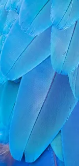 Close-up of vibrant blue feathers creating a textured art pattern.