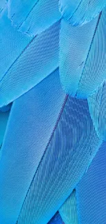 Close-up of vibrant blue feathers on a phone wallpaper.