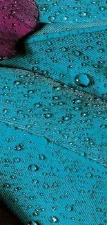 Close-up of a blue feather with water droplets.