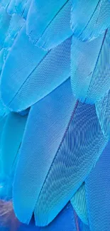 Close-up of vibrant blue feathers creating a textured and elegant design.