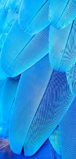 Close-up of vibrant blue feather texture in detailed patterns.