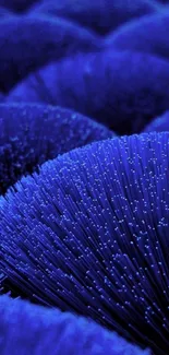 Vibrant blue fiber optic wallpaper for mobile devices.