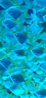 Vibrant school of blue fish swimming in the ocean, perfect for mobile wallpaper.