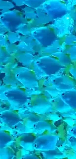 Vibrant blue fish pattern with cyan hues.