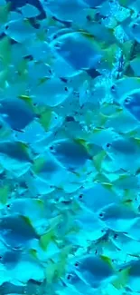 Vibrant blue fish swimming underwater in an ocean-themed mobile wallpaper.