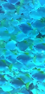 Vibrant shoal of blue fish swimming in a serene underwater setting.