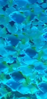 A vibrant school of blue fish in an underwater scene.