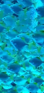 Mobile wallpaper featuring a vibrant shoal of blue fish swimming.