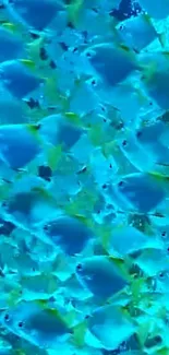 Vibrant blue fish swimming in a serene underwater scene.