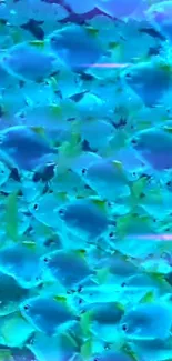 School of vibrant blue fish in an aquatic scene, perfect for ocean-themed wallpapers.