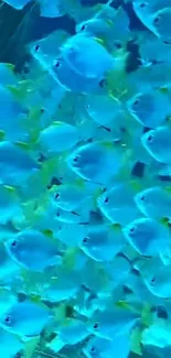 Vivid cluster of blue fish in oceanic depths, captured elegantly for mobile screens.