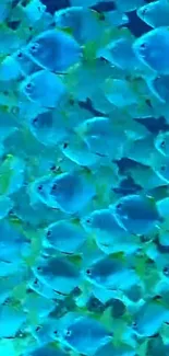 Vibrant blue fish swimming in the ocean, creating a serene and colorful scene.