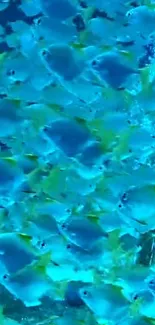 Mobile wallpaper featuring vibrant blue fish swimming in an underwater scene.