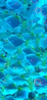 Vibrant wallpaper with blue fish swimming underwater.