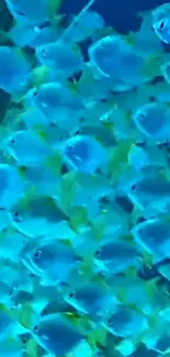 Vibrant school of blue fish swimming underwater in a colorful ocean scene.