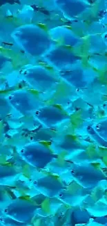 School of vibrant blue fish swimming underwater in a serene marine scene.