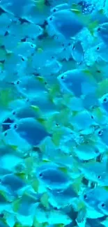 School of vibrant blue fish swimming in a mesmerizing underwater scene.