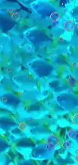 School of blue fish with bubbles on vibrant aquatic wallpaper.