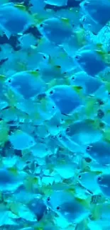 Vibrant underwater wallpaper with blue fish