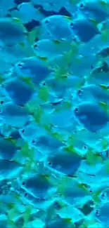 Mobile wallpaper featuring vibrant blue fish in an underwater scene.