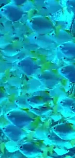 Vibrant swarm of blue fish in an underwater scene for mobile wallpaper.