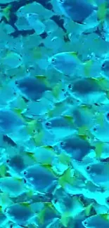 Vibrant blue fish underwater mobile phone wallpaper.