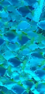 Vibrant blue fish swimming underwater in a colorful aquatic scene.