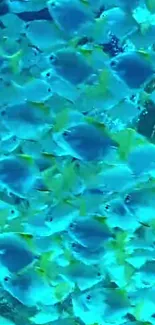 A swarm of vibrant blue fish in clear waters.