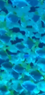 Blue fish swimming against a cyan background wallpaper.