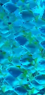 Vibrant blue fish swimming in a stunning underwater scene.