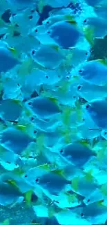 Vibrant blue fish swimming in ocean wallpaper, perfect for mobile screens.