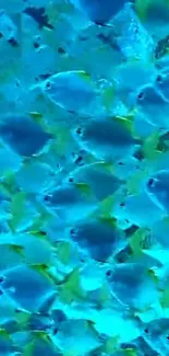 A vibrant blue fish wallpaper with serene aquatic life.