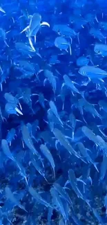 Underwater blue fish swarm mobile wallpaper.