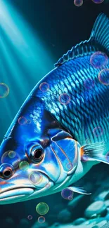 Vibrant blue fish swimming underwater with light beams filtering through.