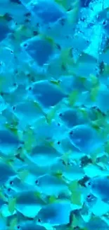 Wallpaper of vibrant blue fish in an underwater scene.