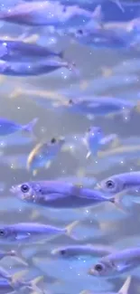 Vibrant school of blue fish swimming in a serene ocean scene.