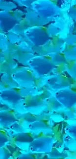 Vibrant blue fish swimming in clear ocean water, perfect for phone wallpaper.