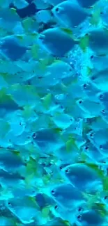 Vibrant mobile wallpaper of blue fish swimming underwater scene.