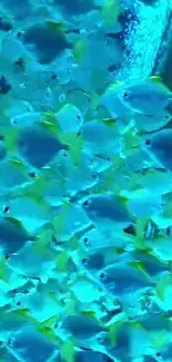 Vibrant blue fish swimming in an underwater scene wallpaper.